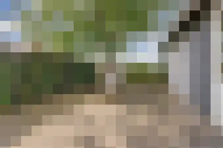 Groenestraat 15 Elst thumbnail 12