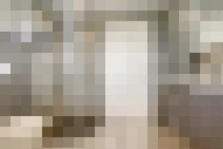 Groenestraat 15 Elst thumbnail 29
