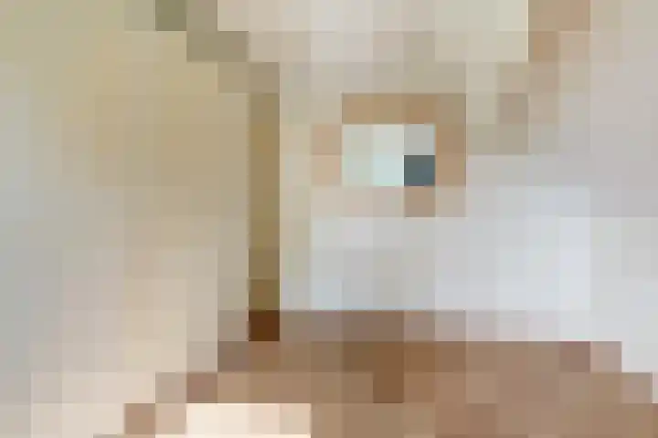 Groenestraat 15 Elst thumbnail 33