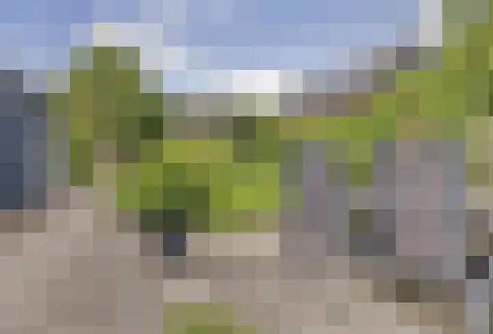Groenestraat 15 Elst thumbnail 6