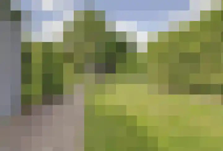 Groenestraat 15 Elst thumbnail 7