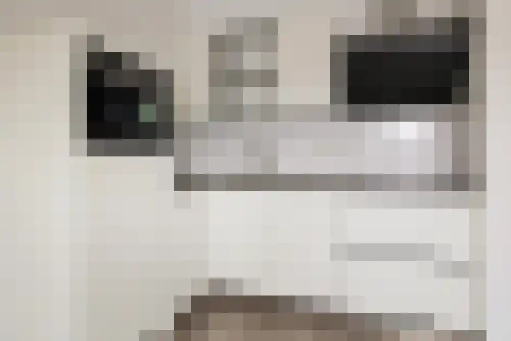 Groenestraat 16 Utrecht thumbnail 9