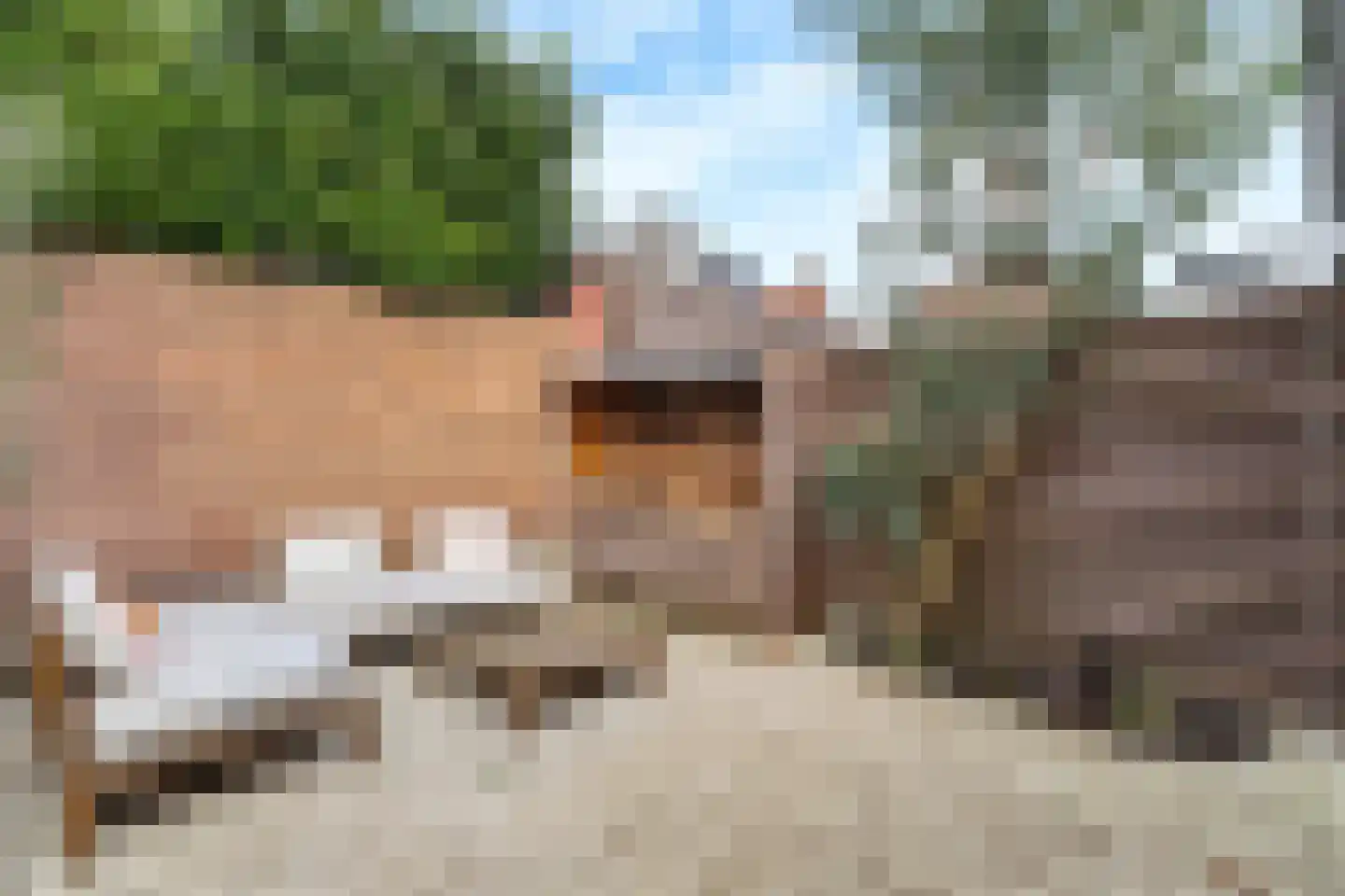Groenestraat 19 Nijkerk thumbnail 4