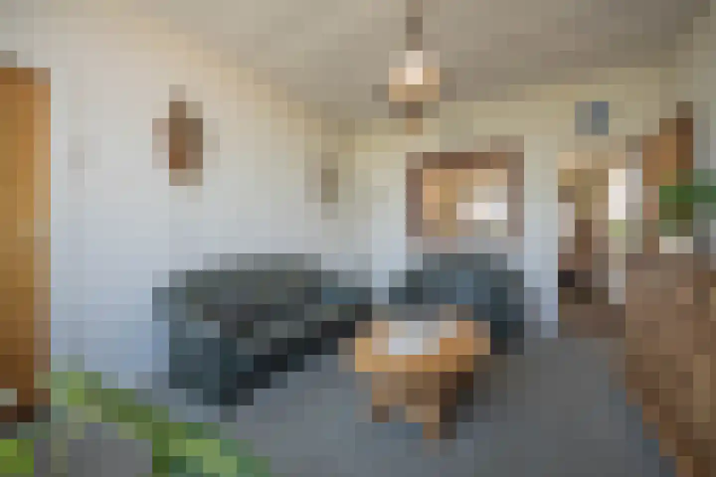 Groenestraat 19 Ochten thumbnail 19
