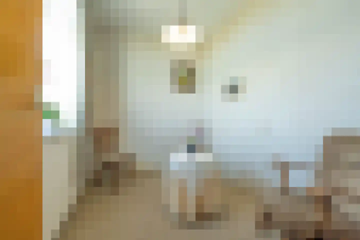 Groenestraat 19 Ochten thumbnail 20