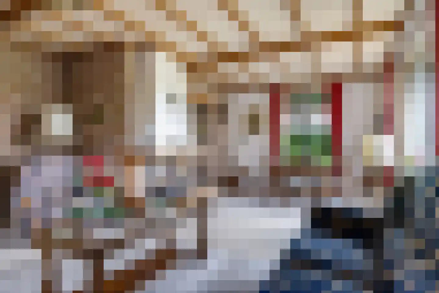 Groenestraat 2 Dodewaard thumbnail 12