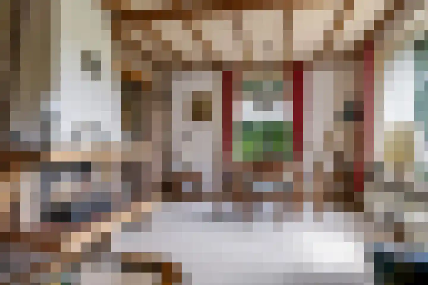 Groenestraat 2 Dodewaard thumbnail 13