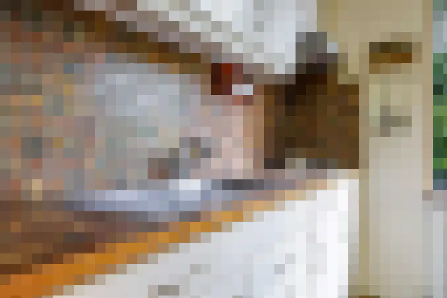 Groenestraat 2 Dodewaard thumbnail 24