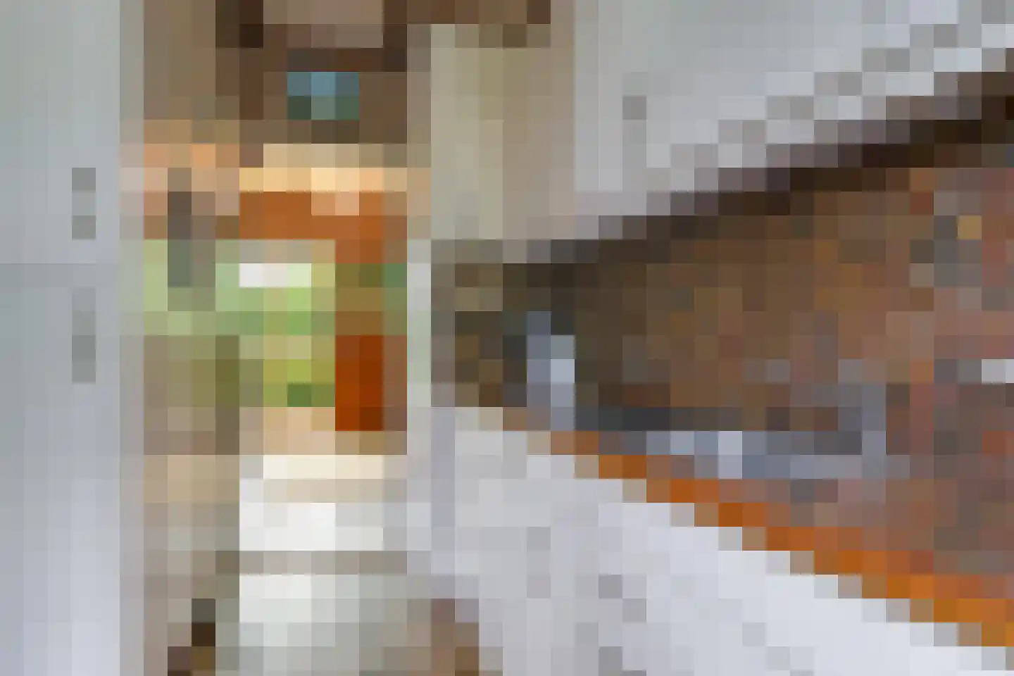 Groenestraat 2 Dodewaard thumbnail 27