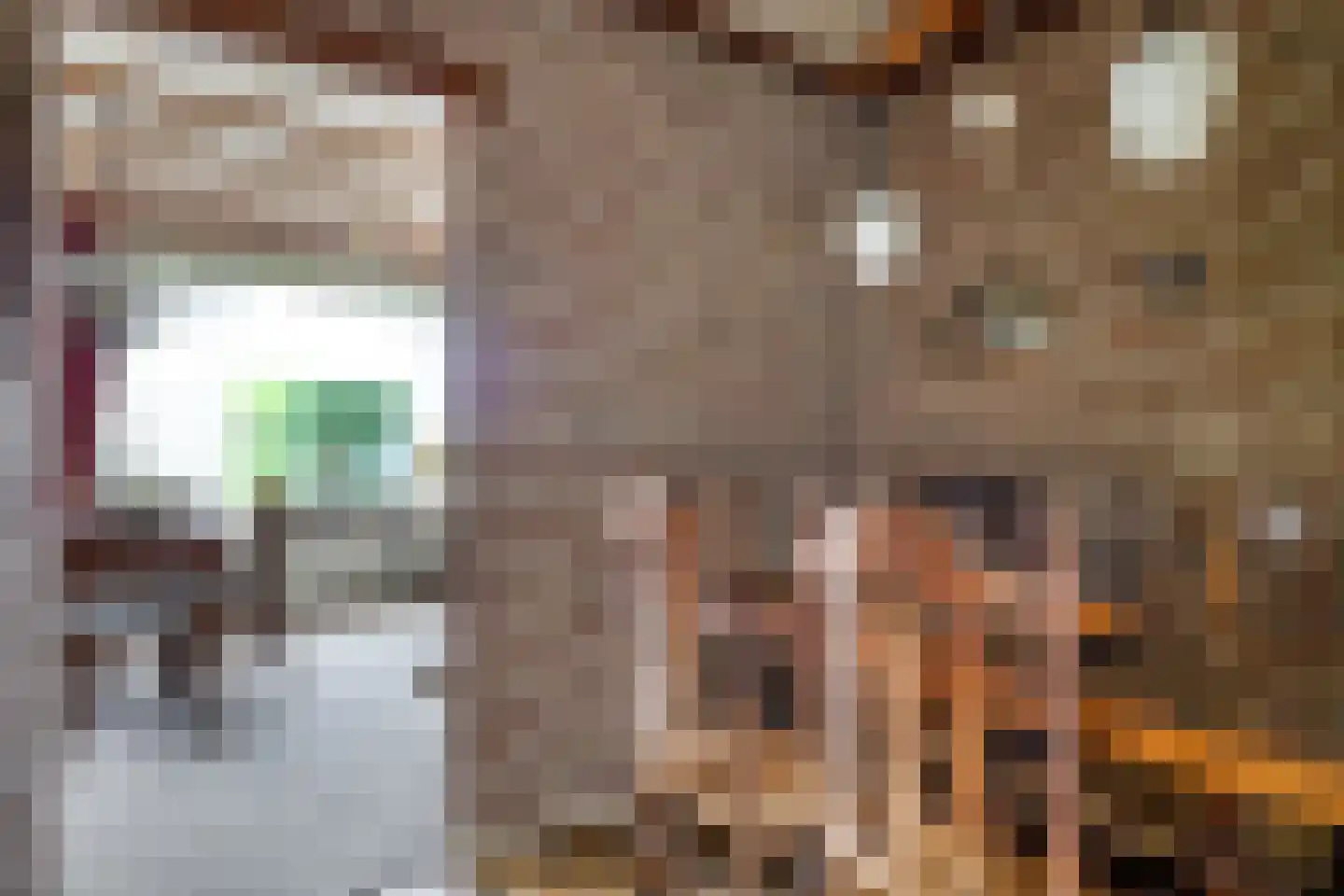 Groenestraat 2 Dodewaard thumbnail 28