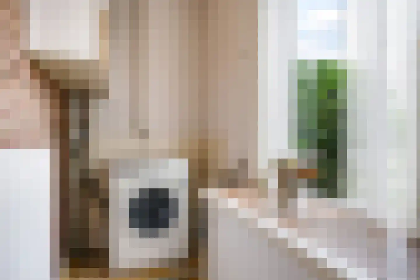 Groenestraat 2 Dodewaard thumbnail 36