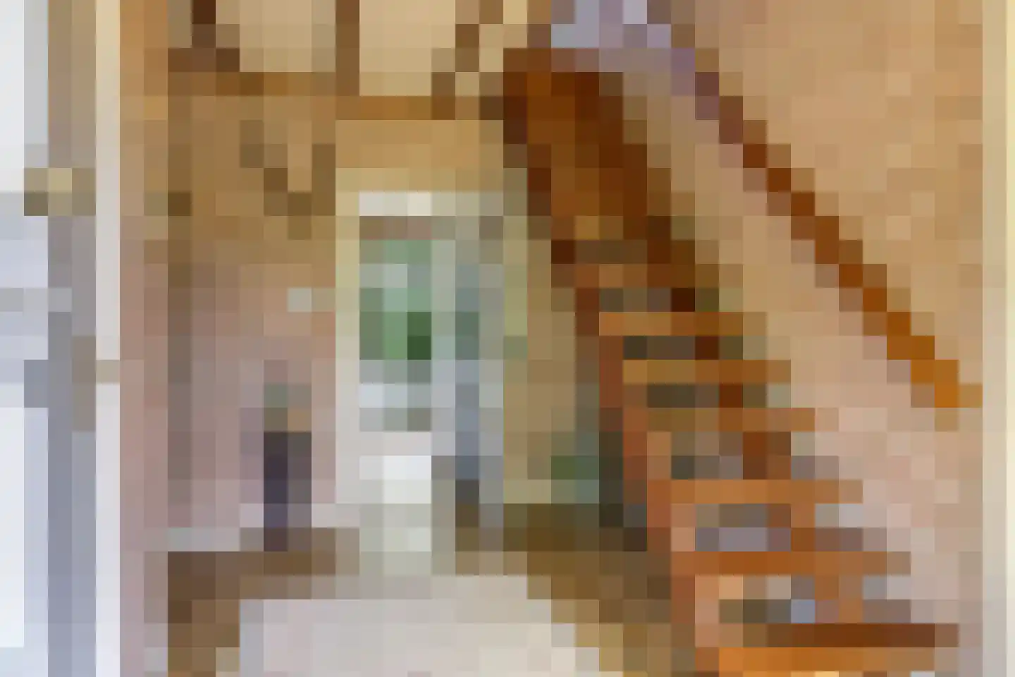 Groenestraat 2 Dodewaard thumbnail 37