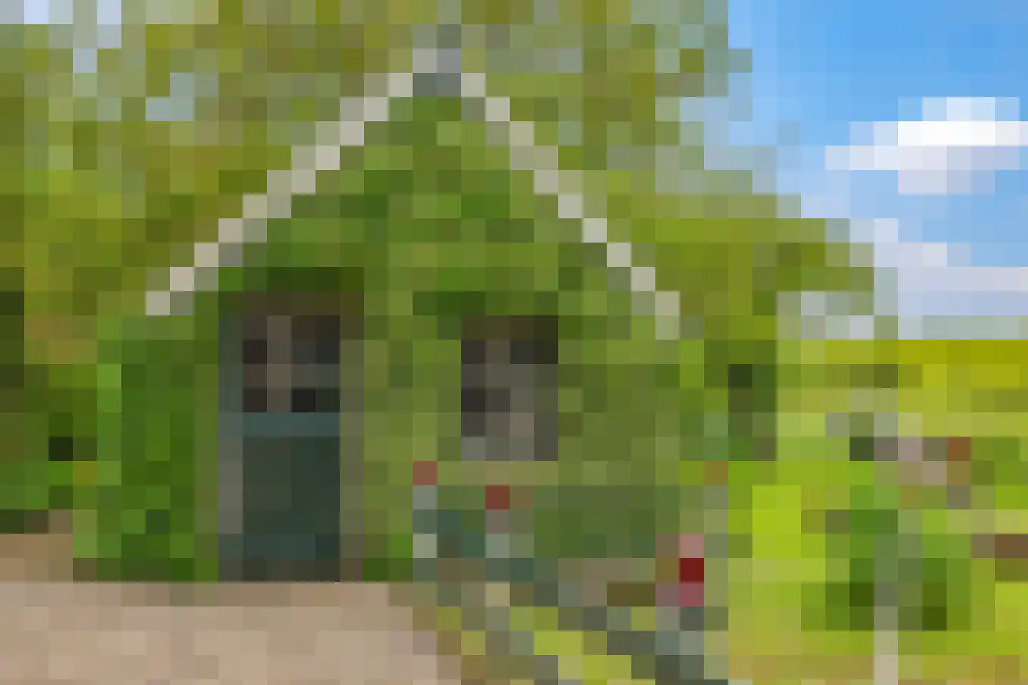 Groenestraat 2 Dodewaard thumbnail 4