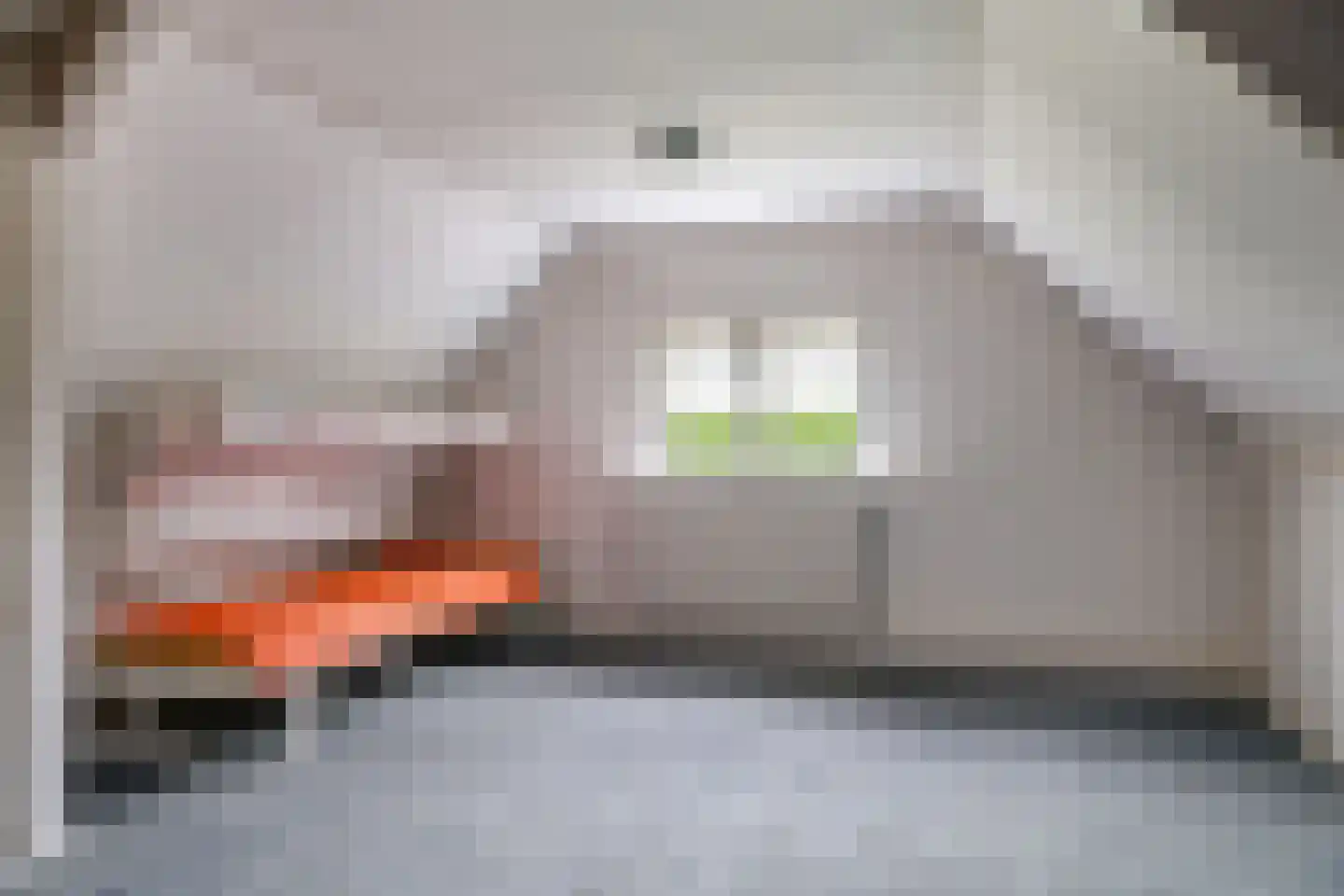 Groenestraat 2 Dodewaard thumbnail 42