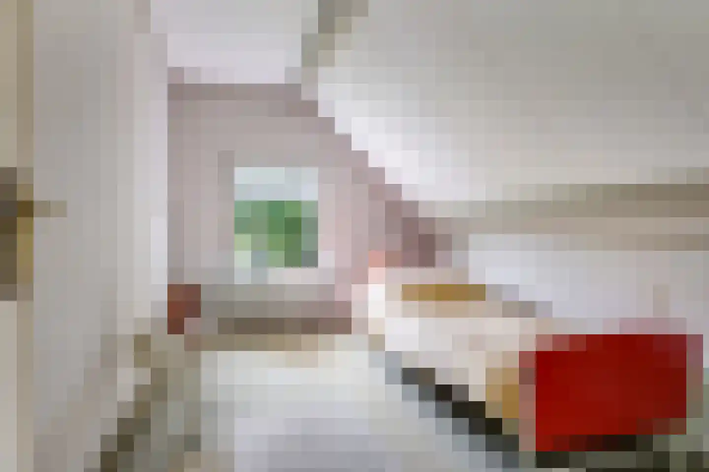 Groenestraat 2 Dodewaard thumbnail 47
