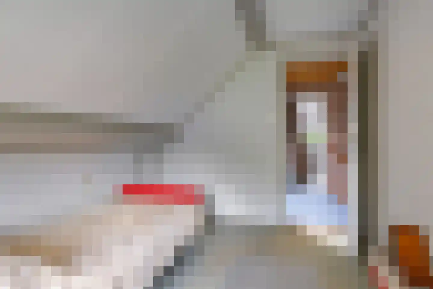 Groenestraat 2 Dodewaard thumbnail 48