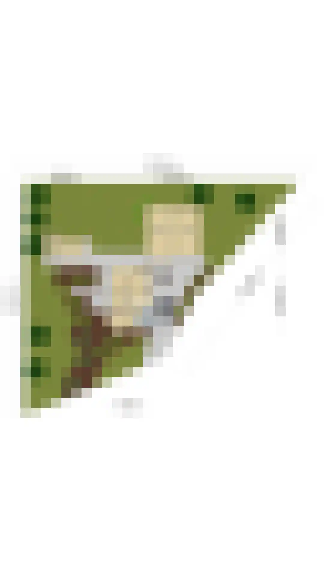 Groenestraat 2 Dodewaard thumbnail 49