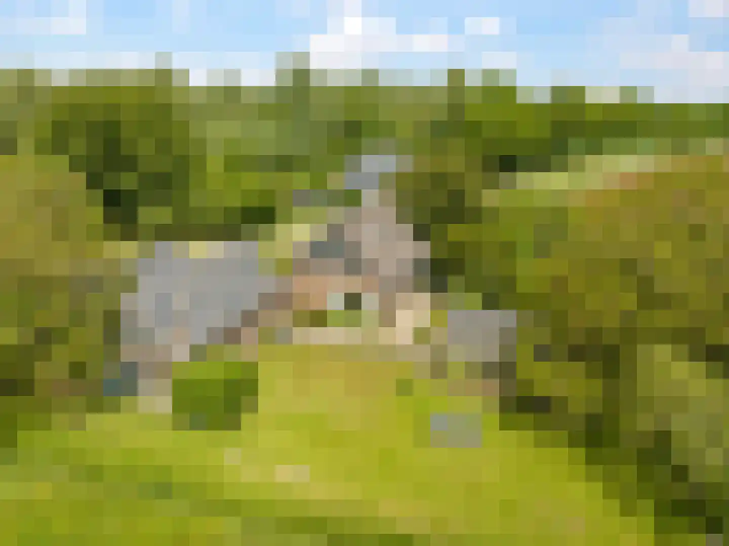 Groenestraat 2 Dodewaard thumbnail 51
