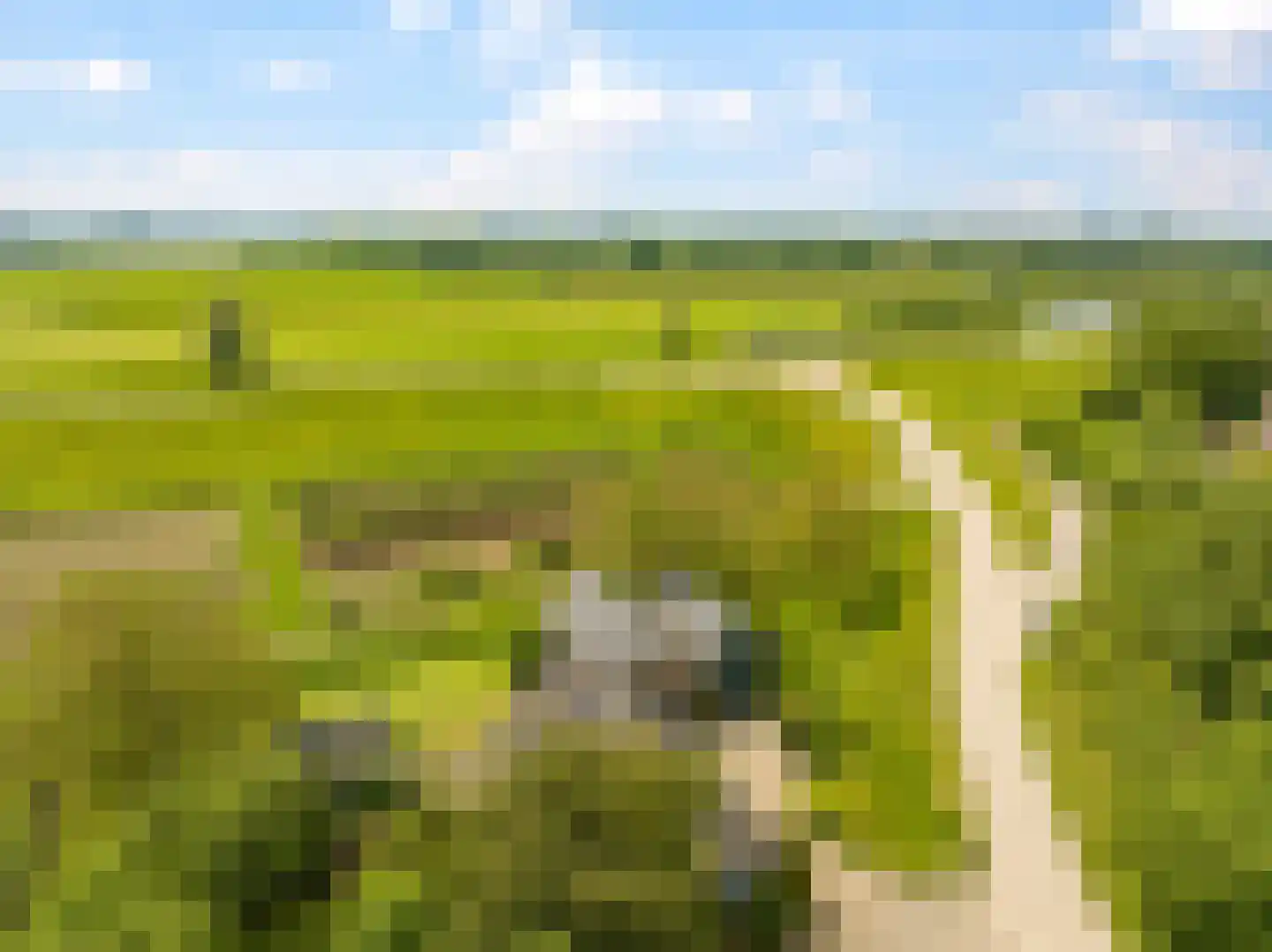 Groenestraat 2 Dodewaard thumbnail 52