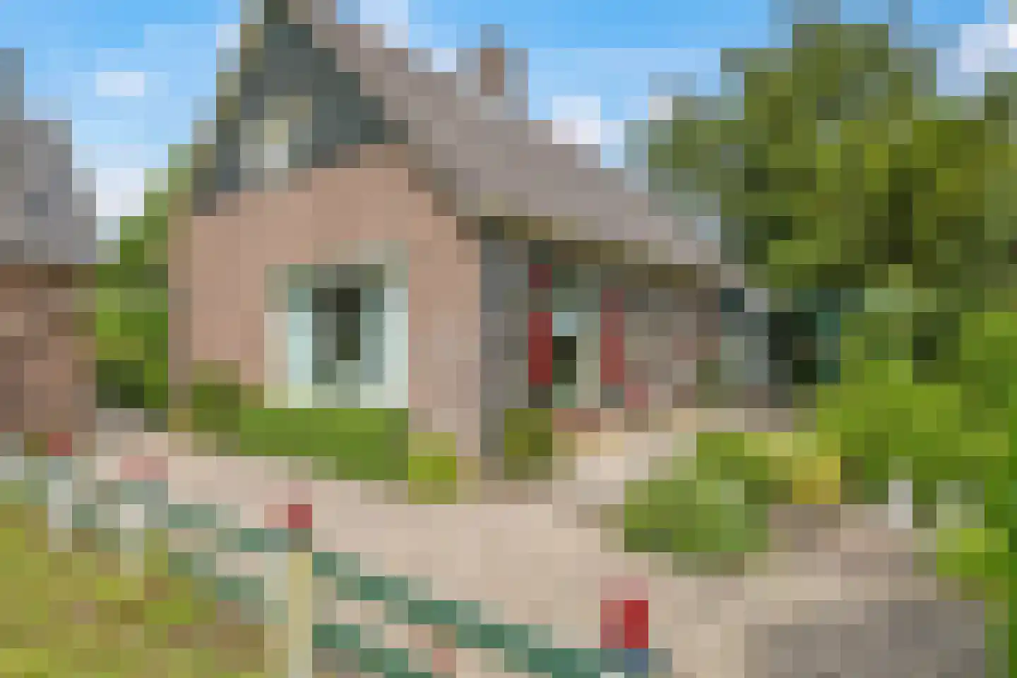 Groenestraat 2 Dodewaard thumbnail 53