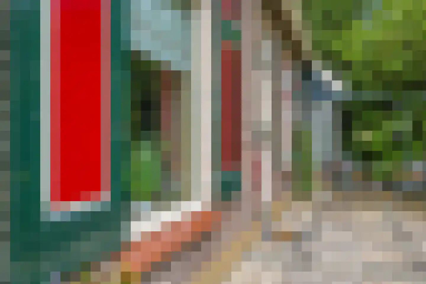 Groenestraat 2 Dodewaard thumbnail 56