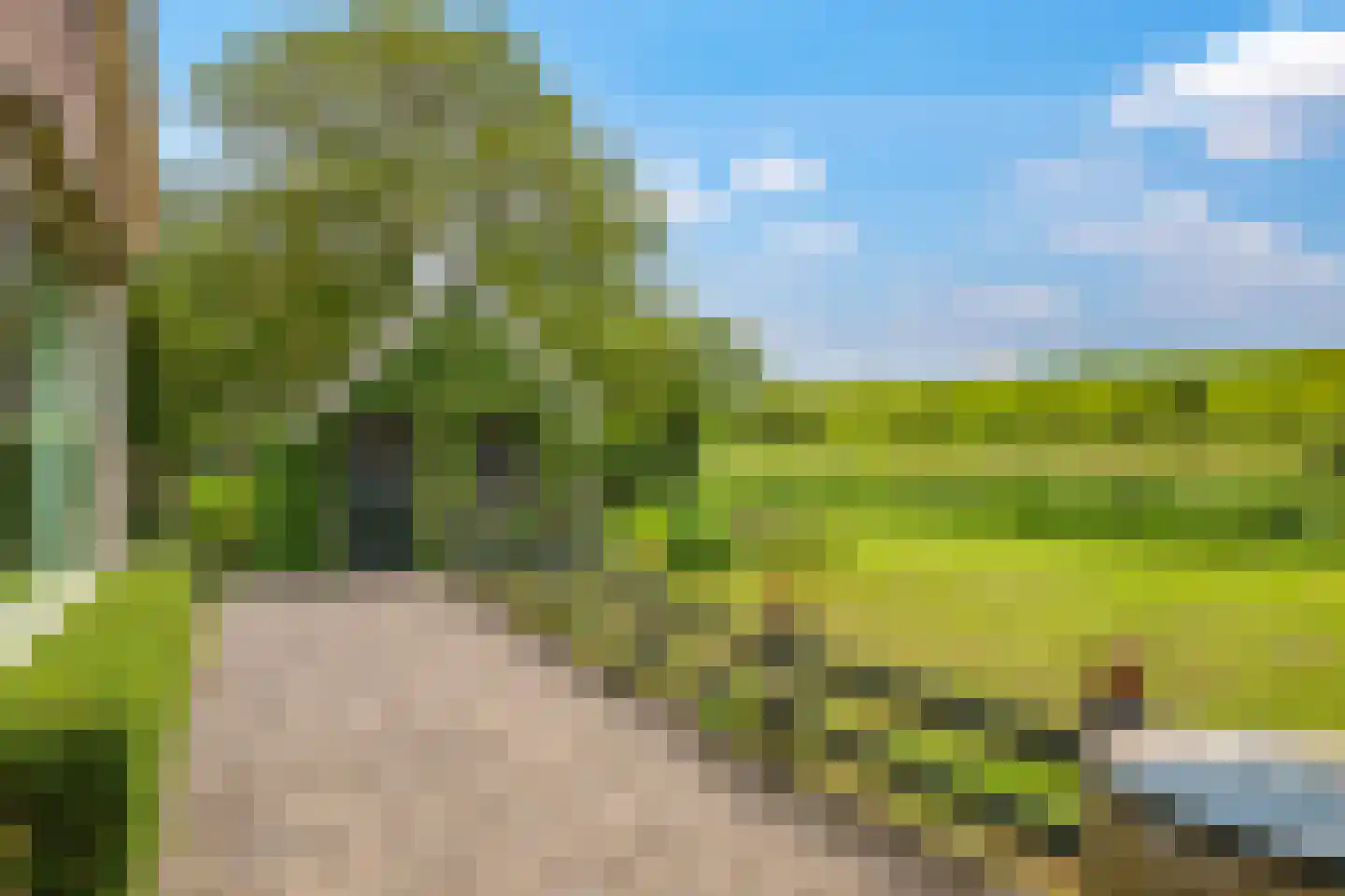 Groenestraat 2 Dodewaard thumbnail 59