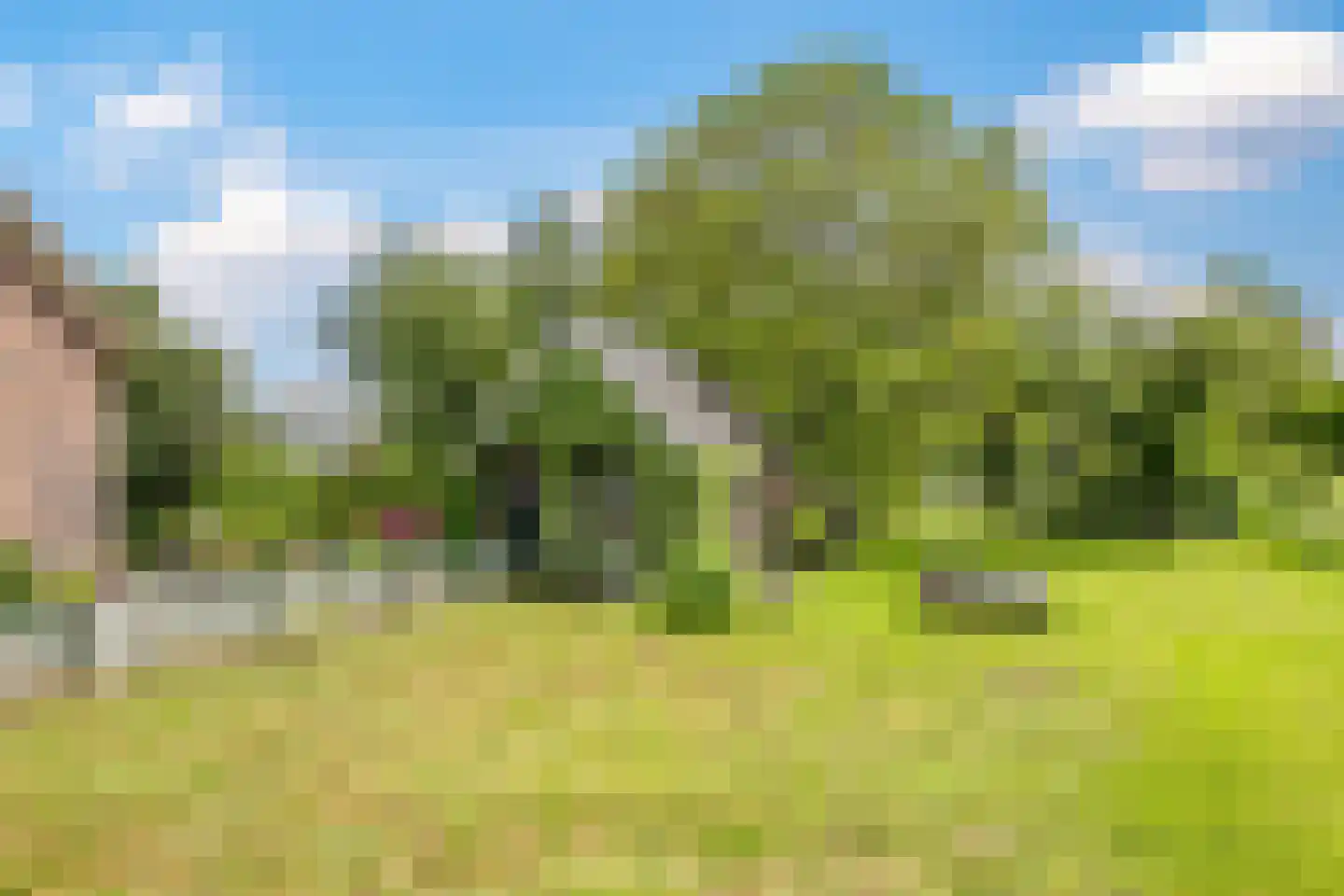 Groenestraat 2 Dodewaard thumbnail 62