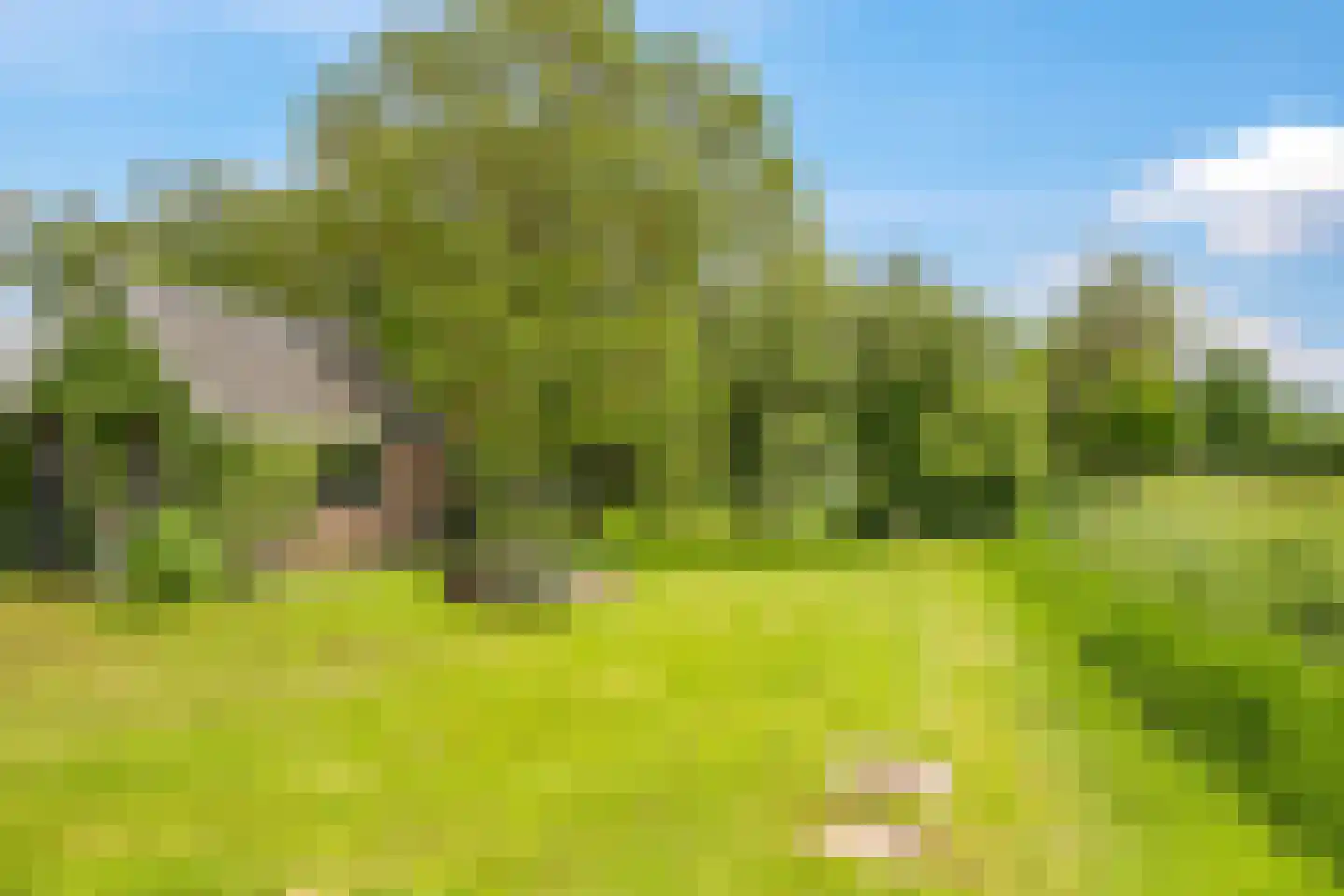 Groenestraat 2 Dodewaard thumbnail 66