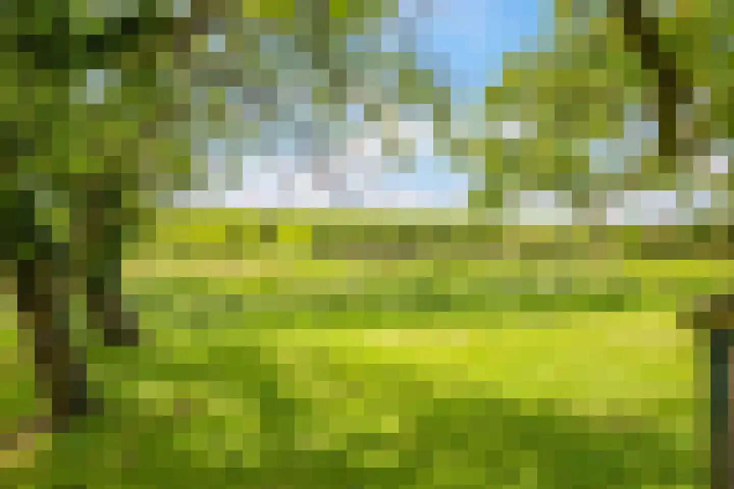 Groenestraat 2 Dodewaard thumbnail 69