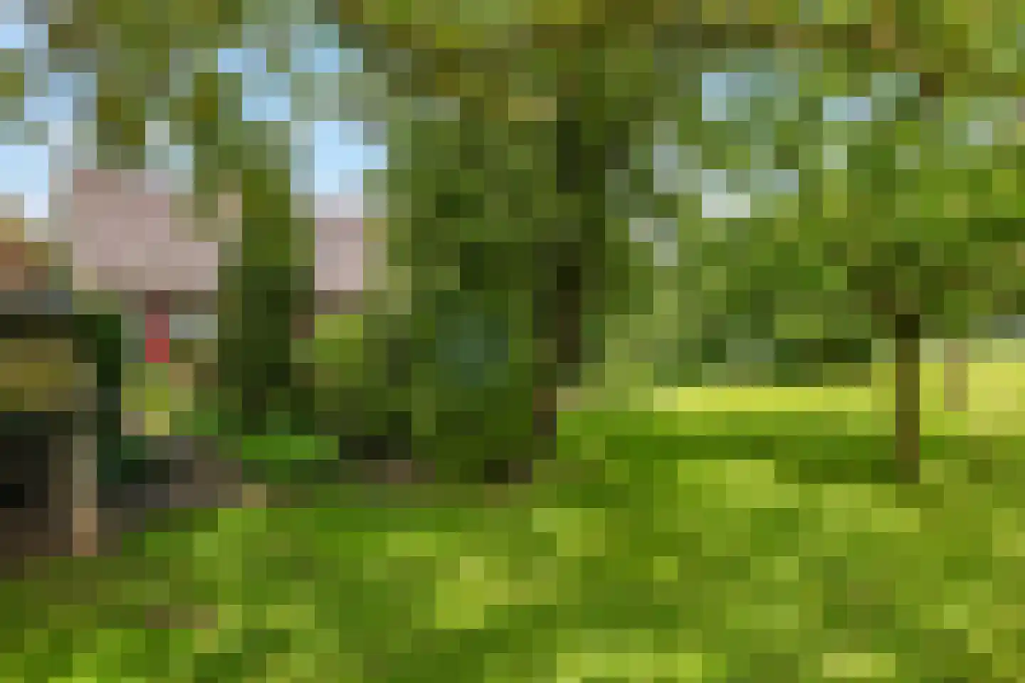 Groenestraat 2 Dodewaard thumbnail 70