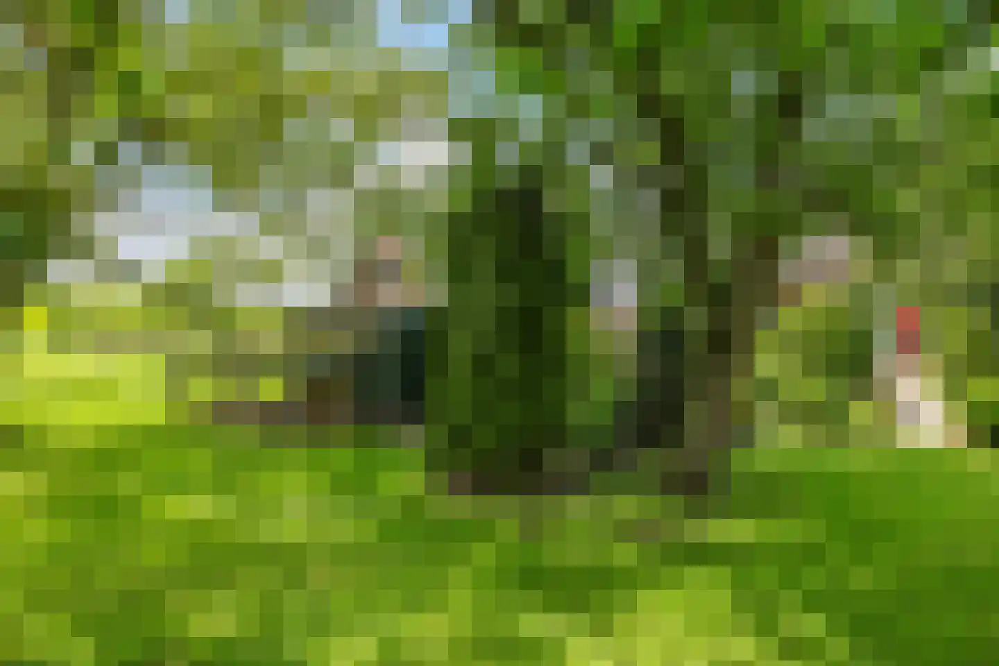 Groenestraat 2 Dodewaard thumbnail 71