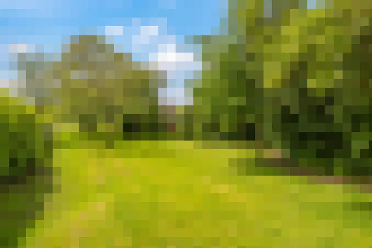 Groenestraat 2 Dodewaard thumbnail 73