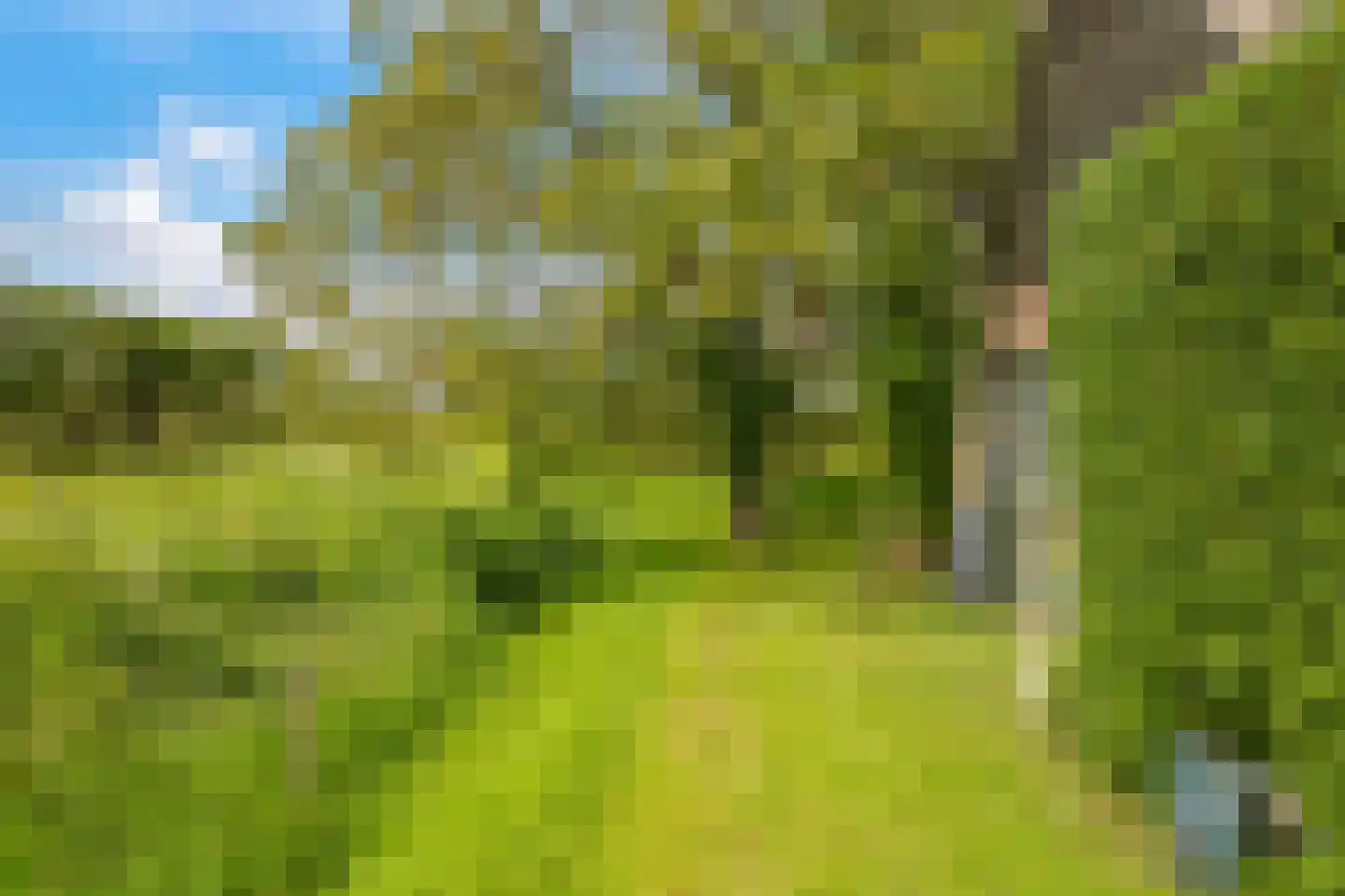 Groenestraat 2 Dodewaard thumbnail 77