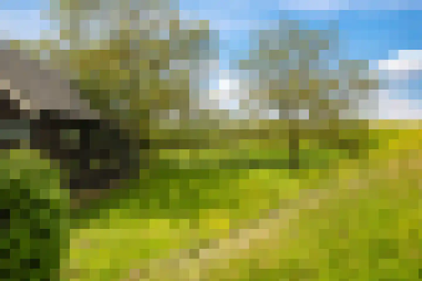 Groenestraat 2 Dodewaard thumbnail 78