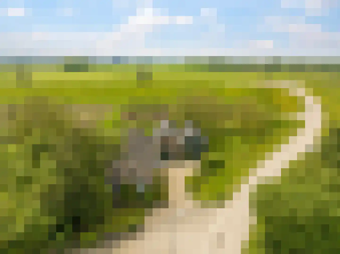 Groenestraat 2 Dodewaard thumbnail 86