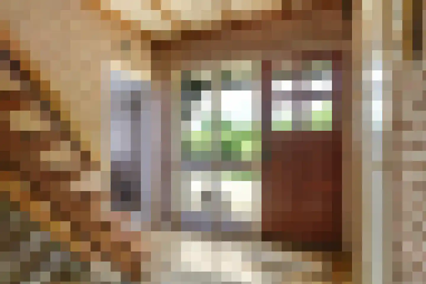 Groenestraat 2 Dodewaard thumbnail 9