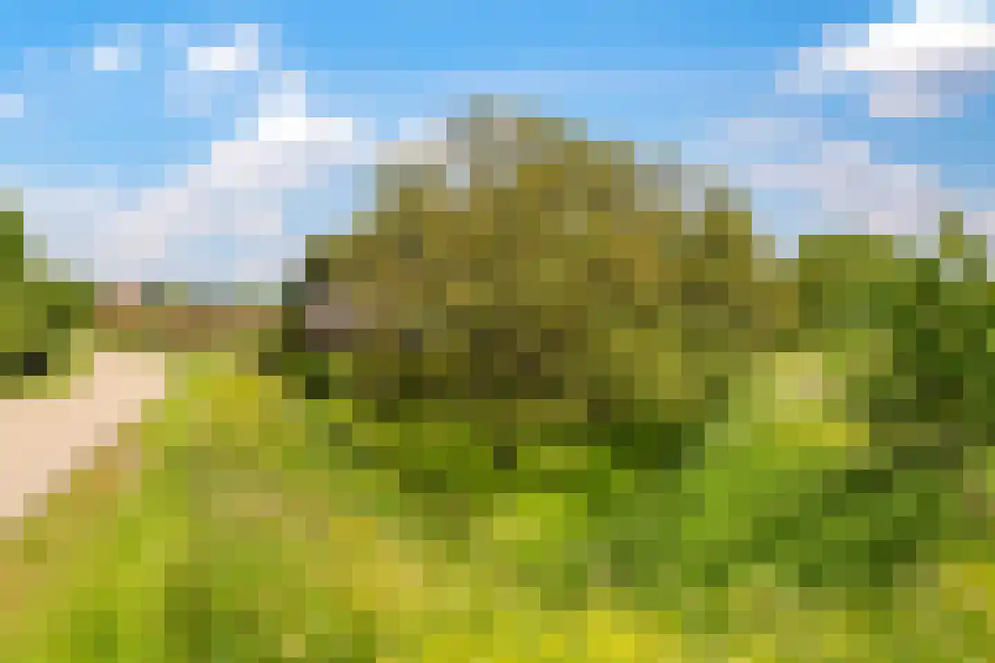 Groenestraat 2 Dodewaard thumbnail 93