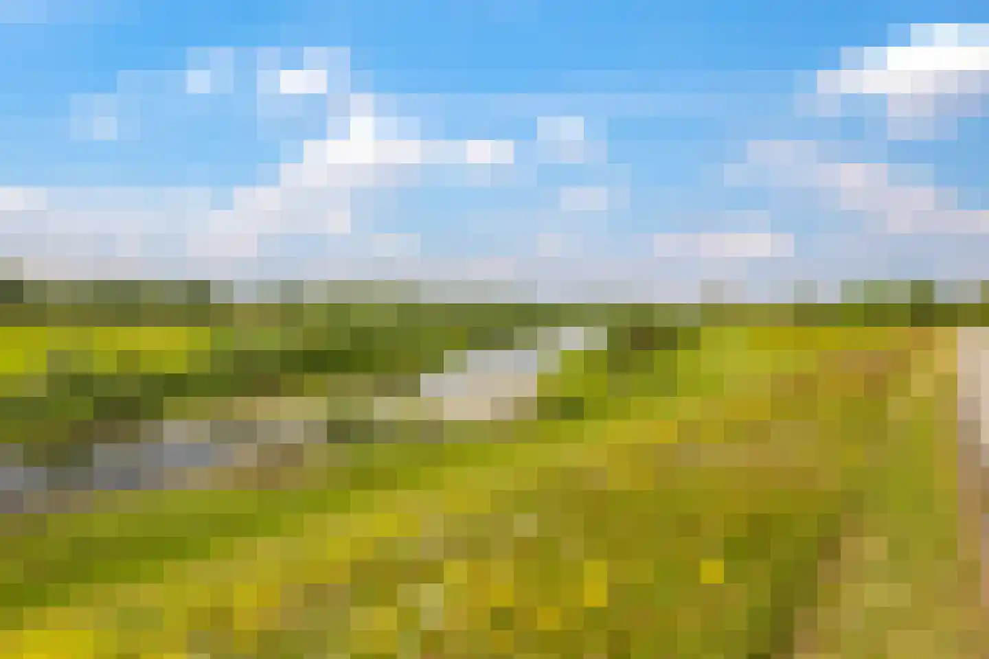 Groenestraat 2 Dodewaard thumbnail 95