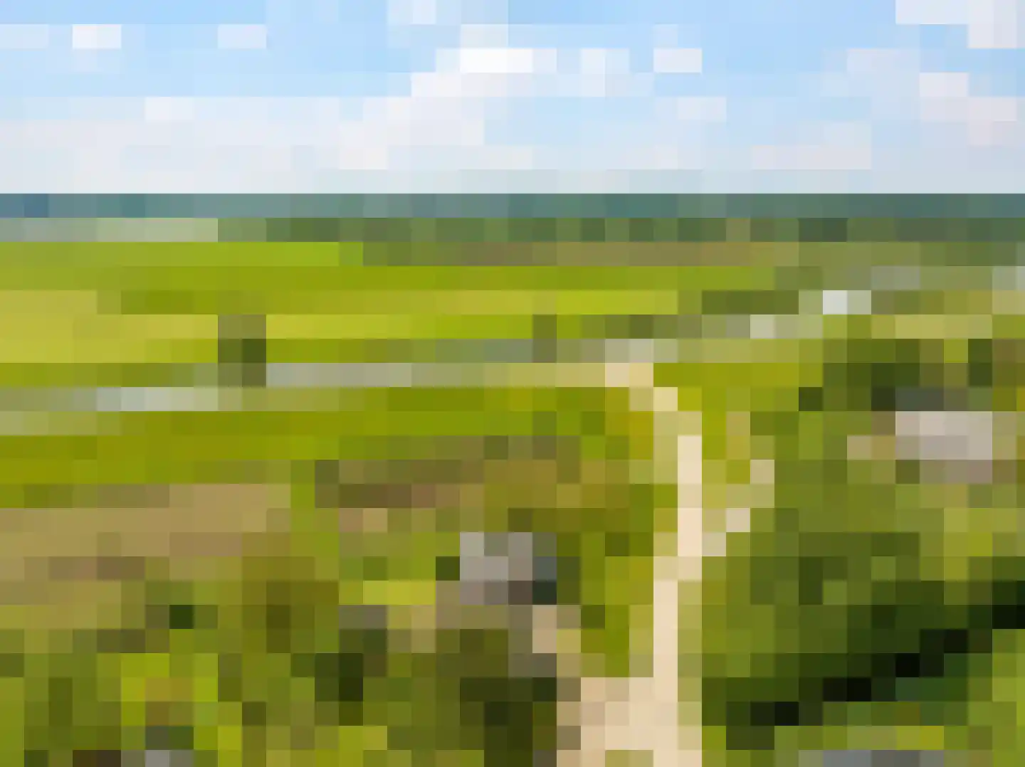 Groenestraat 2 Dodewaard thumbnail 96