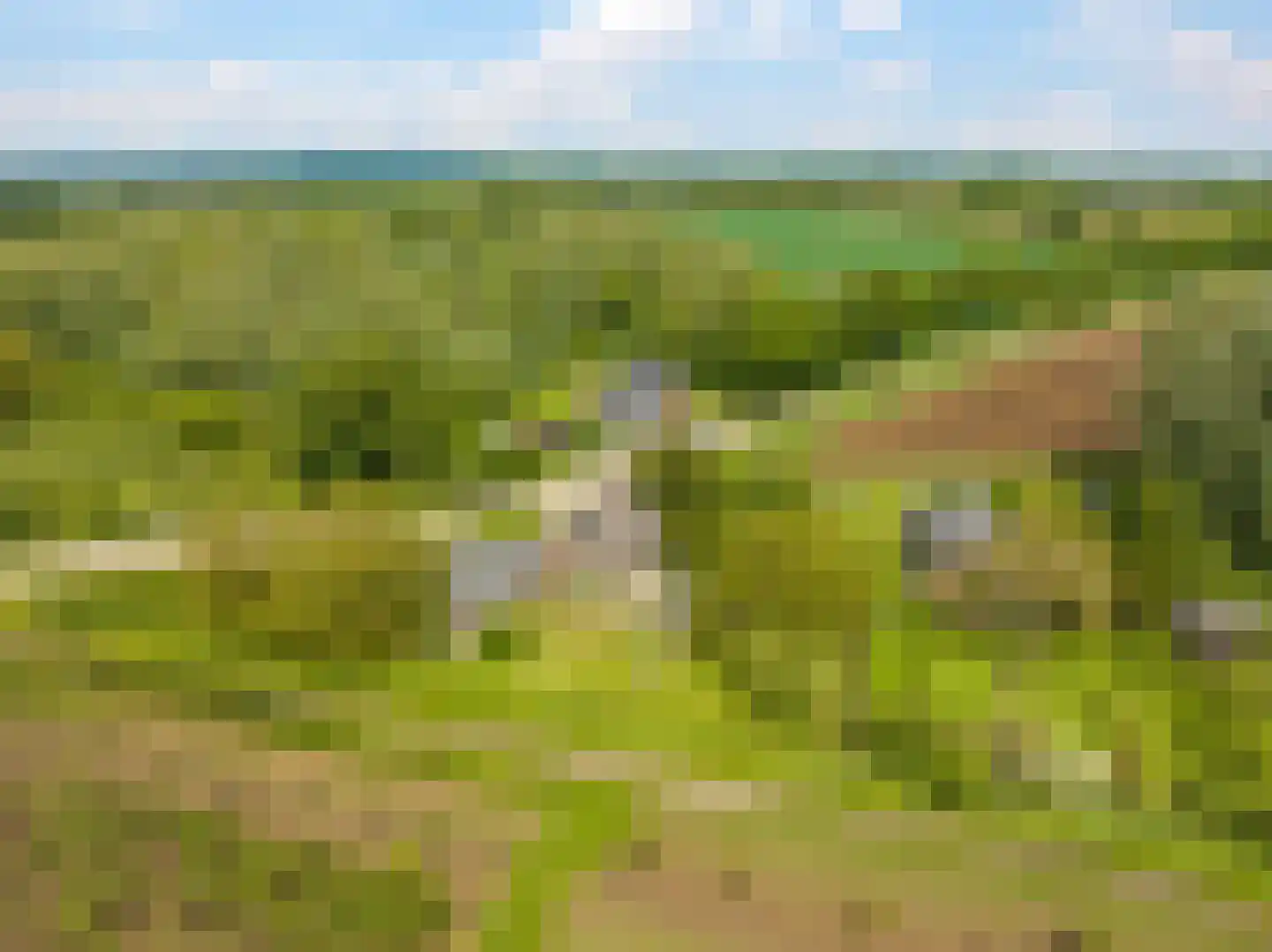Groenestraat 2 Dodewaard thumbnail 97