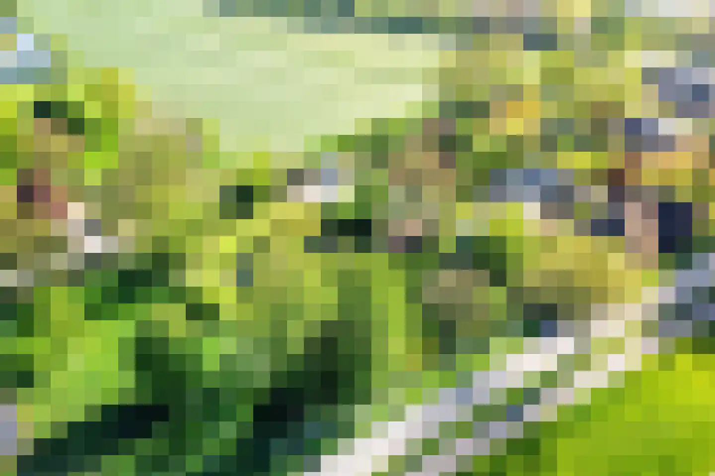 Groenestraat 2 Hurwenen thumbnail 100