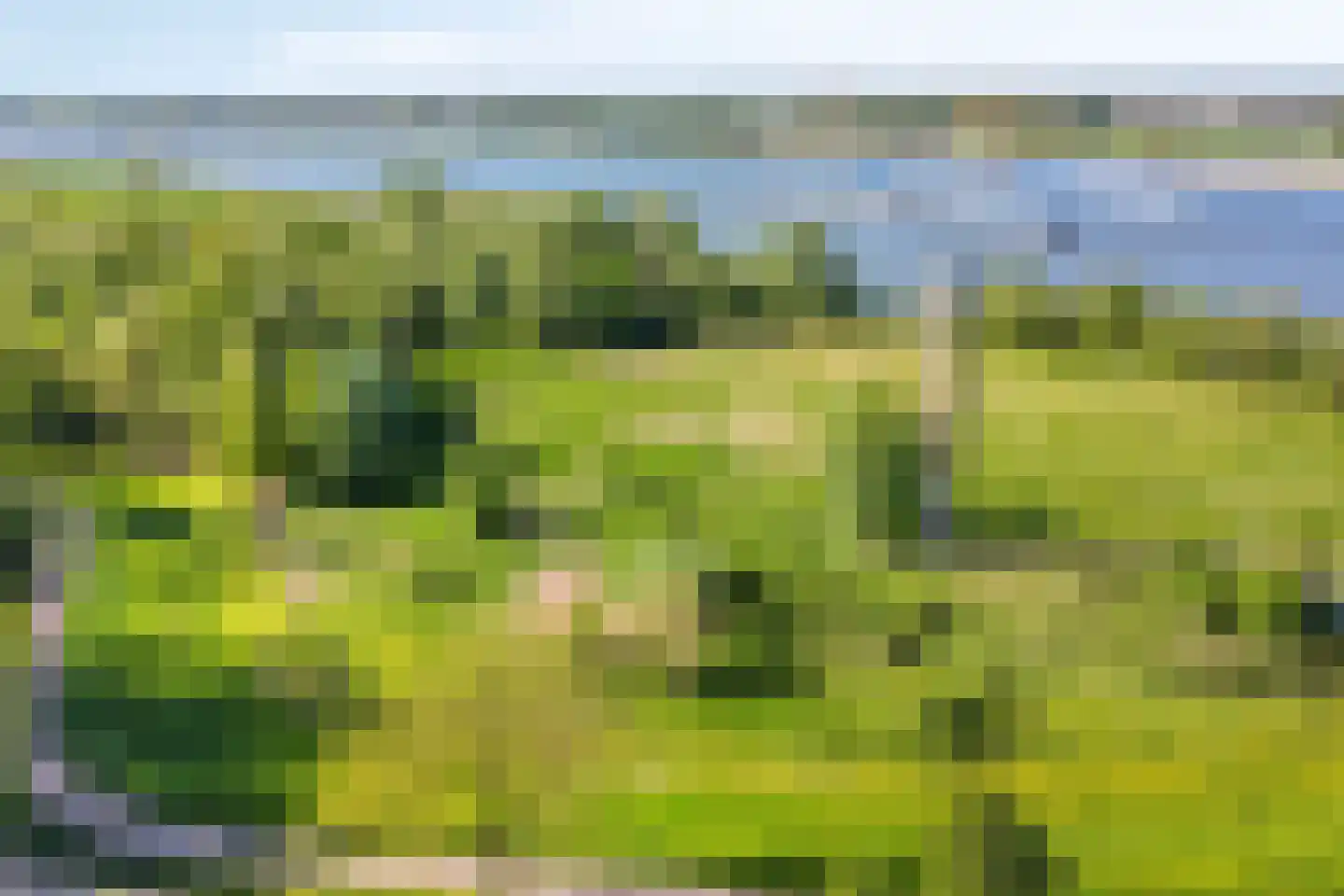 Groenestraat 2 Hurwenen thumbnail 101