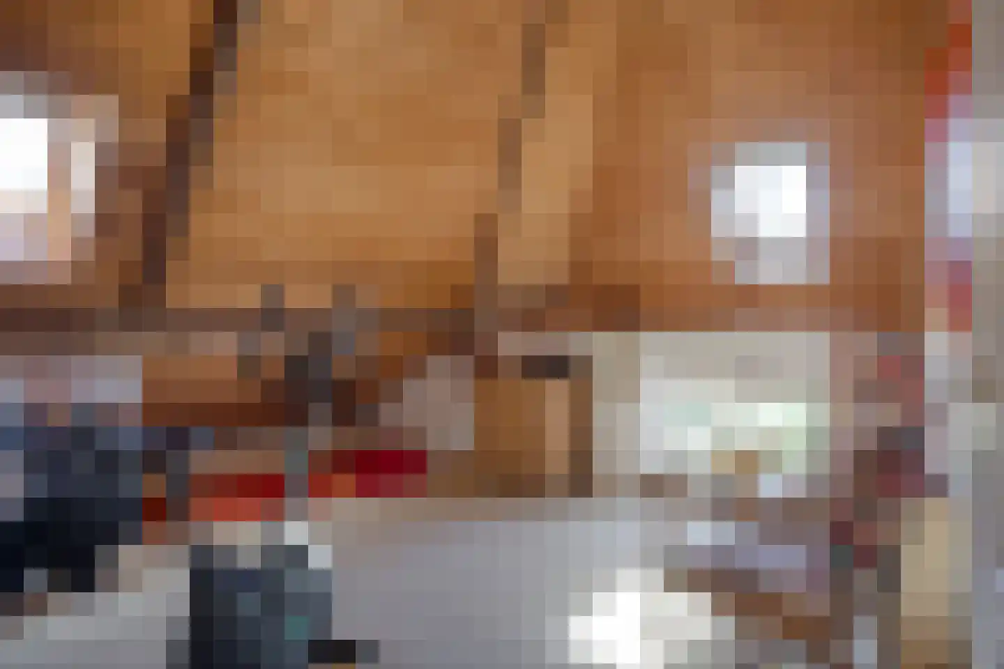 Groenestraat 2 Hurwenen thumbnail 26