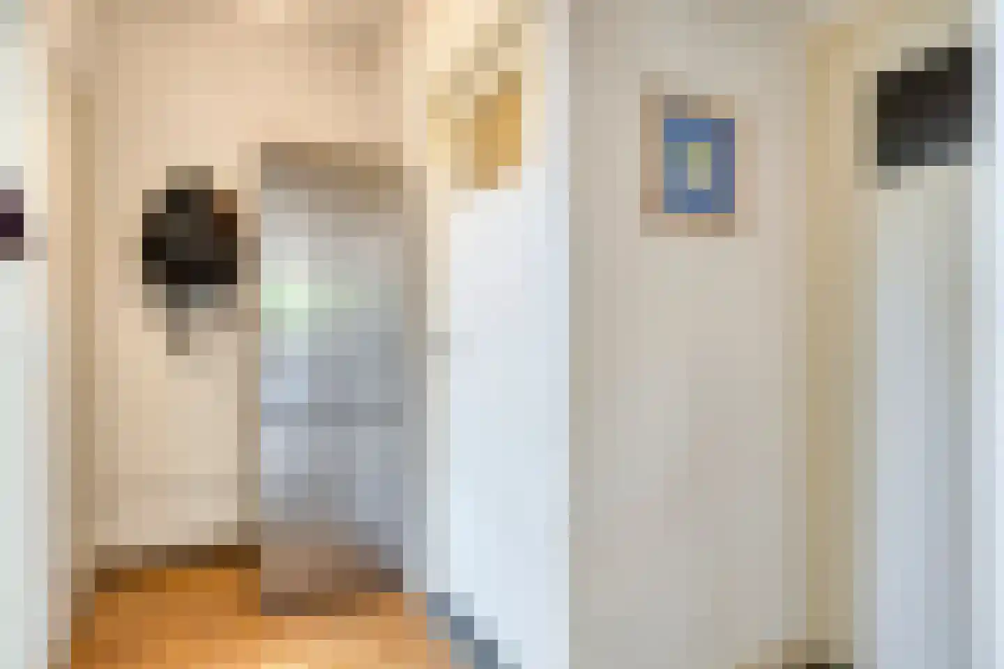 Groenestraat 2 Hurwenen thumbnail 39