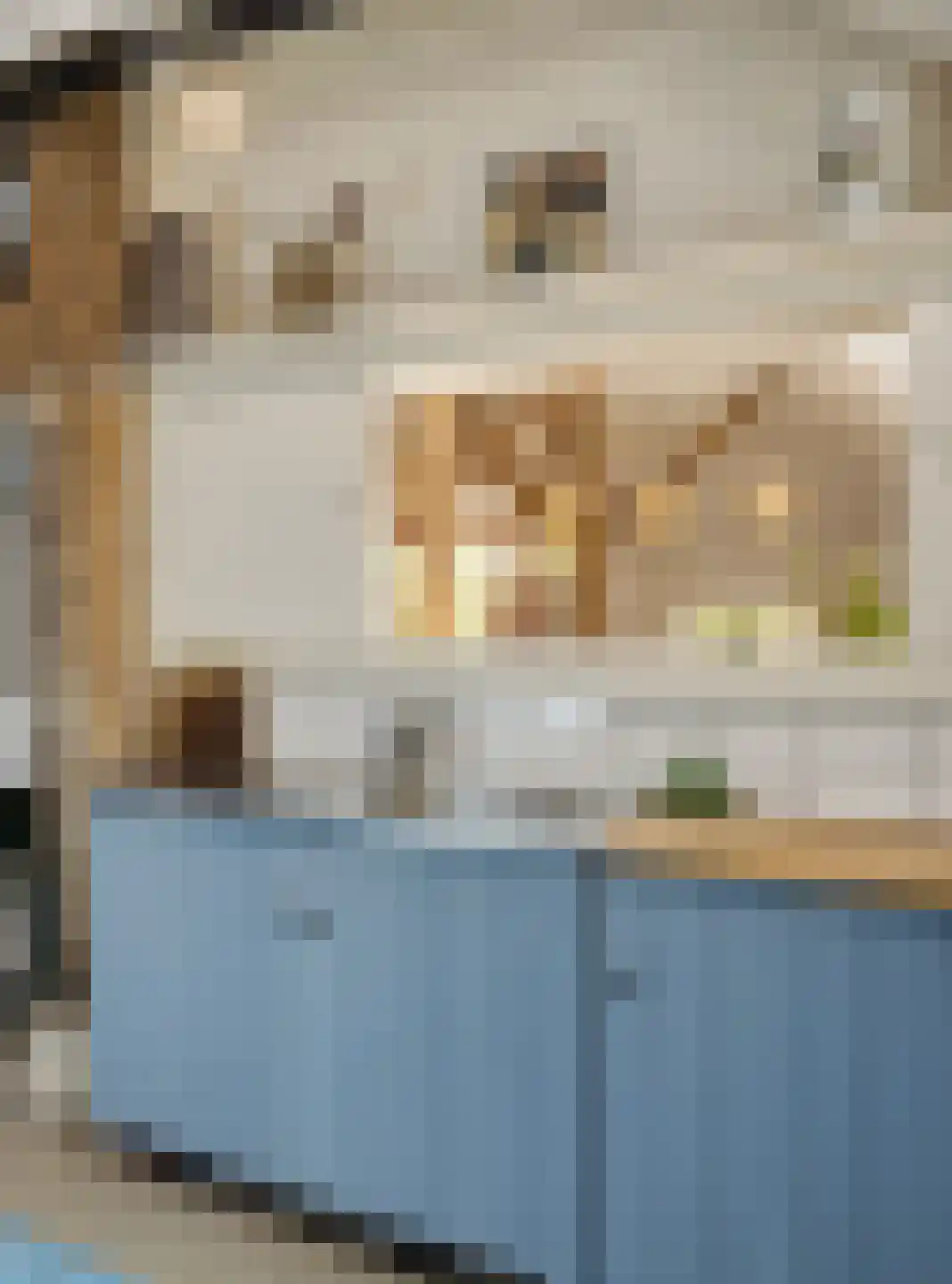 Groenestraat 2 Hurwenen thumbnail 43