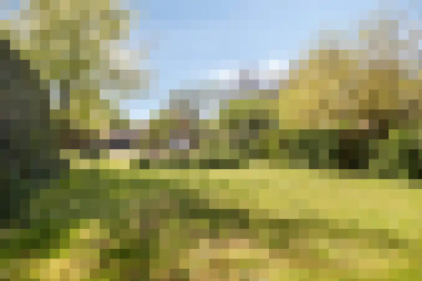 Groenestraat 2 Hurwenen thumbnail 62