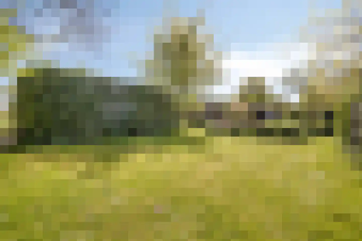 Groenestraat 2 Hurwenen thumbnail 63