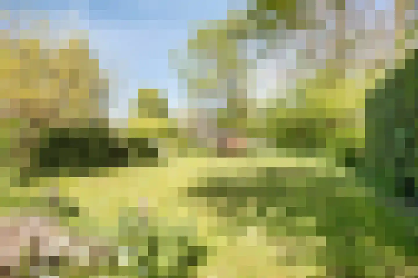 Groenestraat 2 Hurwenen thumbnail 64