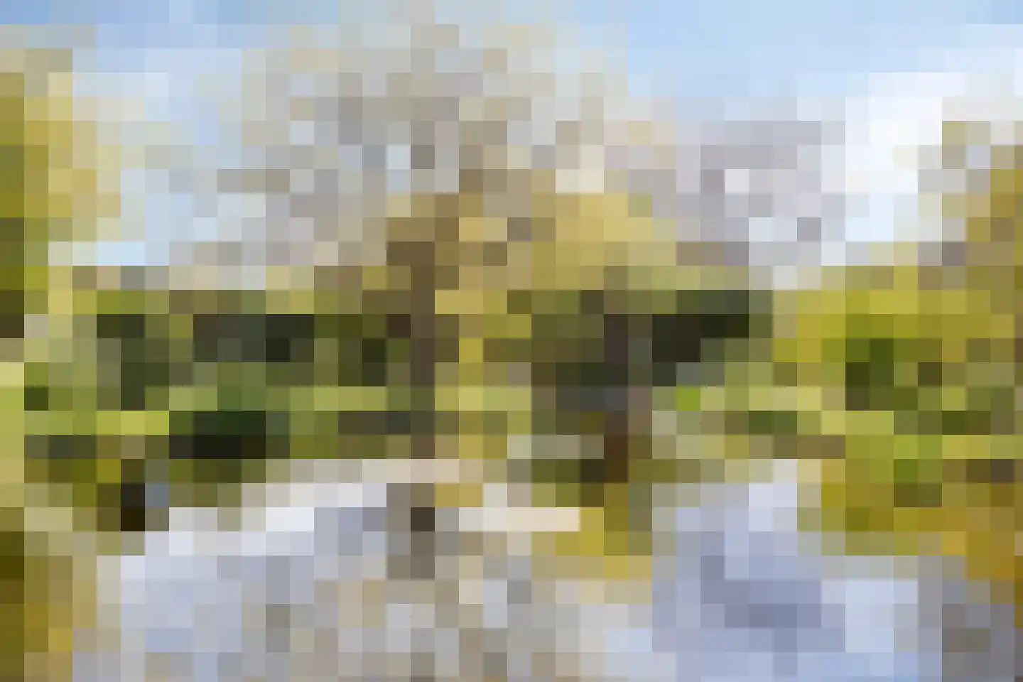 Groenestraat 2 Hurwenen thumbnail 65