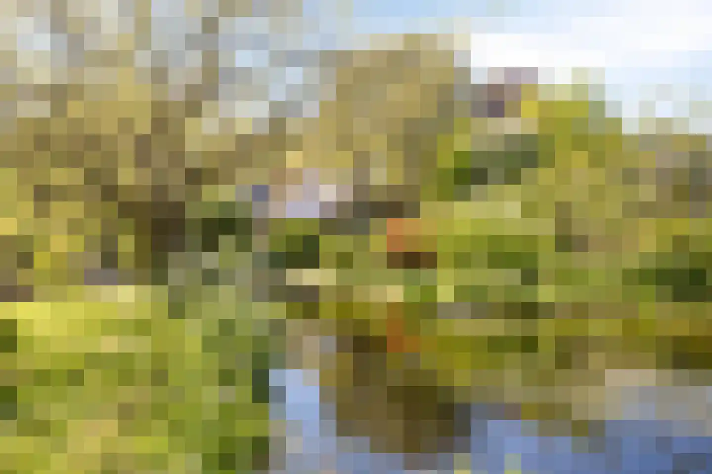Groenestraat 2 Hurwenen thumbnail 66